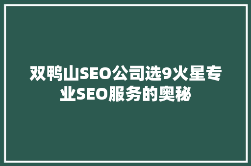双鸭山SEO公司选9火星专业SEO服务的奥秘