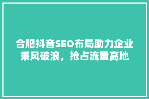 合肥抖音SEO布局助力企业乘风破浪，抢占流量高地