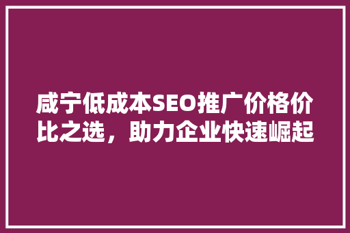 咸宁低成本SEO推广价格价比之选，助力企业快速崛起