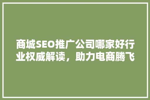 商城SEO推广公司哪家好行业权威解读，助力电商腾飞 seo技术