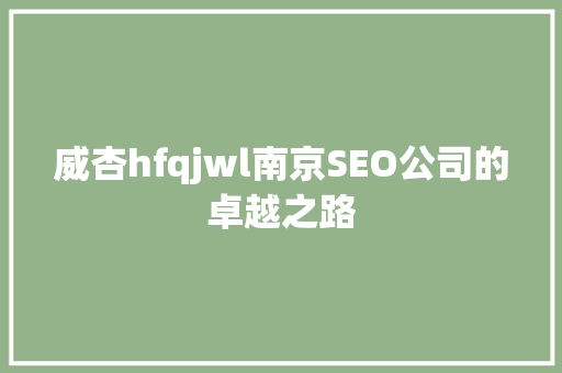 威杏hfqjwl南京SEO公司的卓越之路