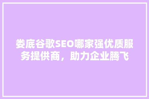 娄底谷歌SEO哪家强优质服务提供商，助力企业腾飞