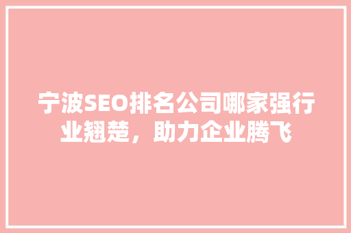宁波SEO排名公司哪家强行业翘楚，助力企业腾飞