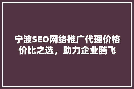 宁波SEO网络推广代理价格价比之选，助力企业腾飞