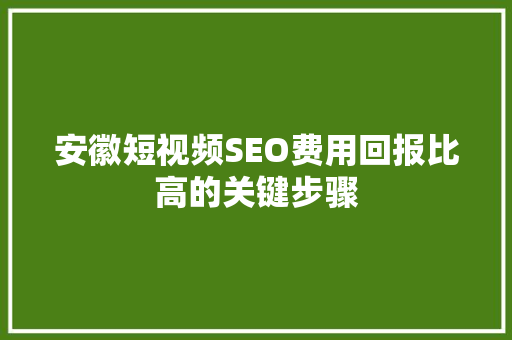 安徽短视频SEO费用回报比高的关键步骤
