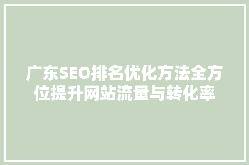 广东SEO排名优化方法全方位提升网站流量与转化率 百度算法