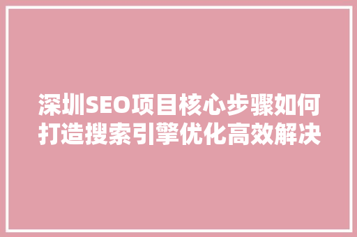 深圳SEO项目核心步骤如何打造搜索引擎优化高效解决方法
