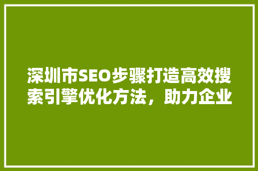深圳市SEO步骤打造高效搜索引擎优化方法，助力企业腾飞 网站开发