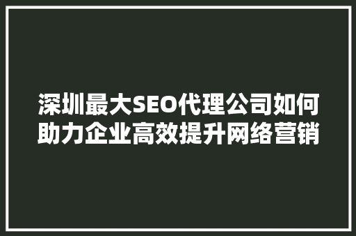 深圳最大SEO代理公司如何助力企业高效提升网络营销效果 网站优化