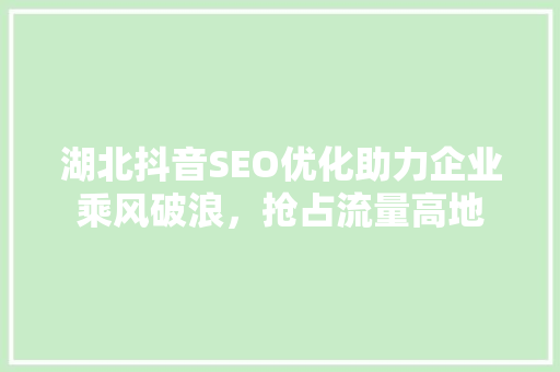 湖北抖音SEO优化助力企业乘风破浪，抢占流量高地