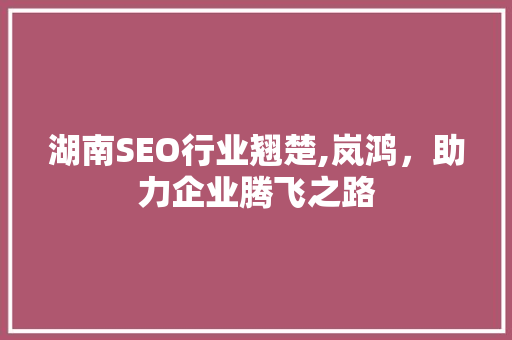 湖南SEO行业翘楚,岚鸿，助力企业腾飞之路
