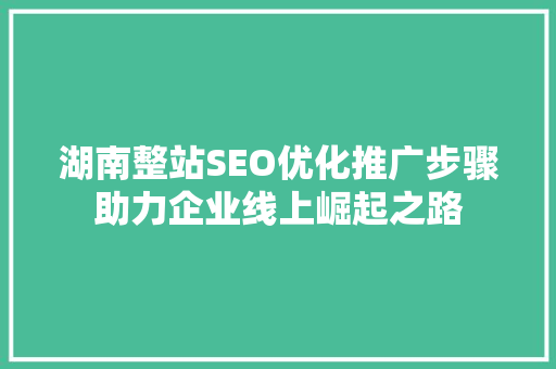 湖南整站SEO优化推广步骤助力企业线上崛起之路