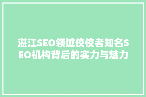 湛江SEO领域佼佼者知名SEO机构背后的实力与魅力 网站优化