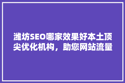潍坊SEO哪家效果好本土顶尖优化机构，助您网站流量翻倍 百度算法