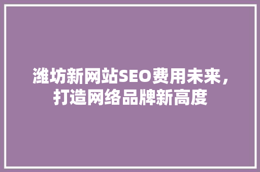潍坊新网站SEO费用未来，打造网络品牌新高度