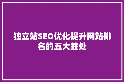 独立站SEO优化提升网站排名的五大益处