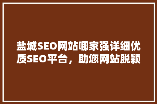 盐城SEO网站哪家强详细优质SEO平台，助您网站脱颖而出 百度算法