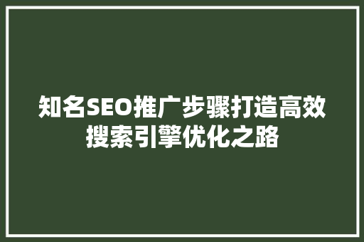 知名SEO推广步骤打造高效搜索引擎优化之路