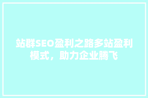 站群SEO盈利之路多站盈利模式，助力企业腾飞 网站优化