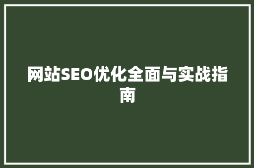 网站SEO优化全面与实战指南 seo技术