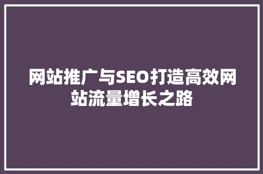 网站推广与SEO打造高效网站流量增长之路