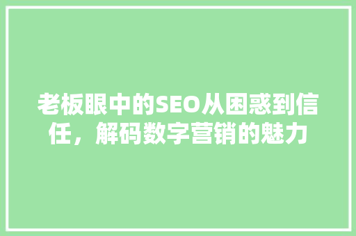 老板眼中的SEO从困惑到信任，解码数字营销的魅力