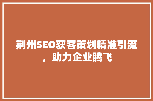 荆州SEO获客策划精准引流，助力企业腾飞 英文谷歌算法