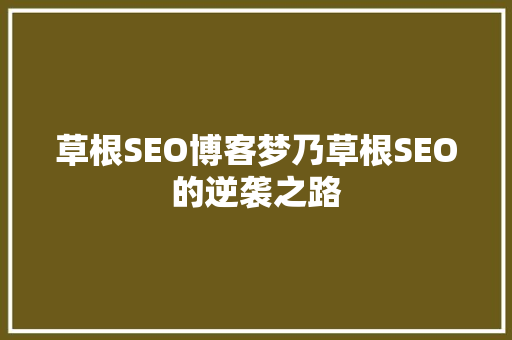 草根SEO博客梦乃草根SEO的逆袭之路