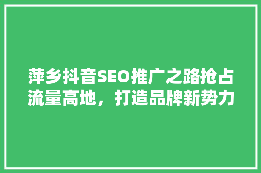 萍乡抖音SEO推广之路抢占流量高地，打造品牌新势力 网站优化
