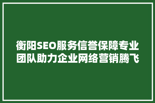 衡阳SEO服务信誉保障专业团队助力企业网络营销腾飞