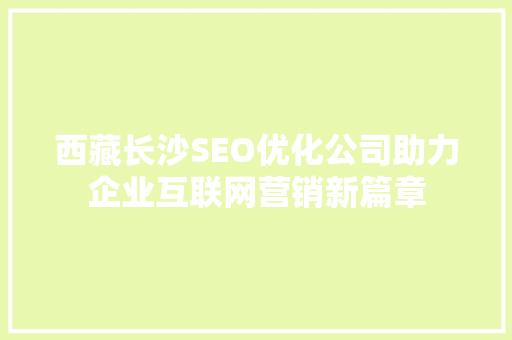 西藏长沙SEO优化公司助力企业互联网营销新篇章