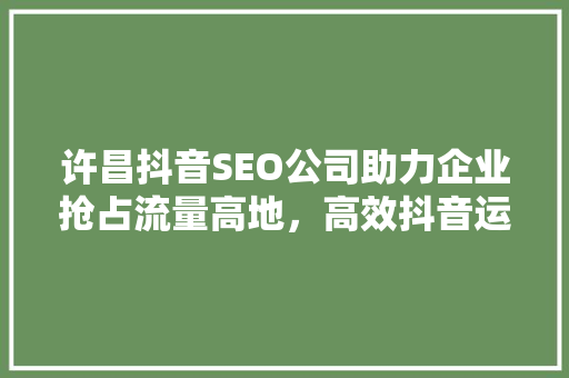 许昌抖音SEO公司助力企业抢占流量高地，高效抖音运营步骤
