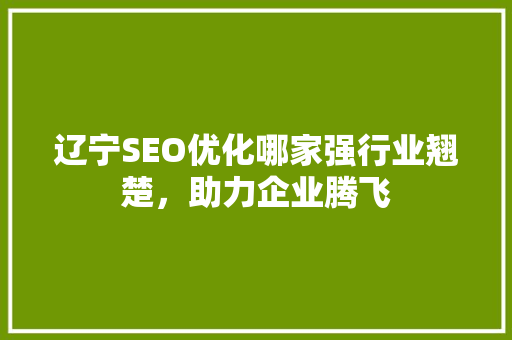 辽宁SEO优化哪家强行业翘楚，助力企业腾飞 seo技术