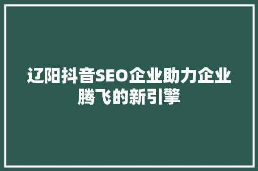 辽阳抖音SEO企业助力企业腾飞的新引擎 网站优化