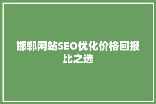 邯郸网站SEO优化价格回报比之选