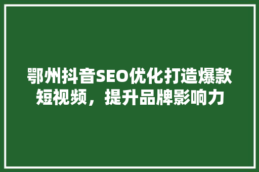 鄂州抖音SEO优化打造爆款短视频，提升品牌影响力