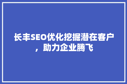 长丰SEO优化挖掘潜在客户，助力企业腾飞