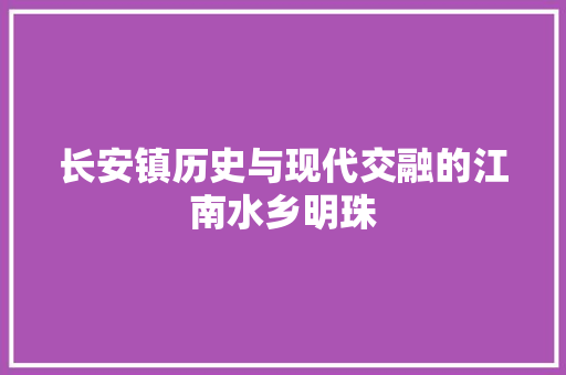 长安镇历史与现代交融的江南水乡明珠