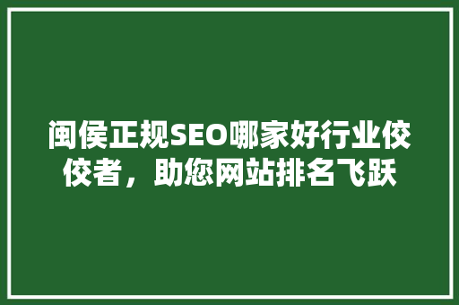闽侯正规SEO哪家好行业佼佼者，助您网站排名飞跃