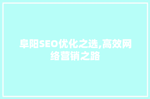 阜阳SEO优化之选,高效网络营销之路 网站优化