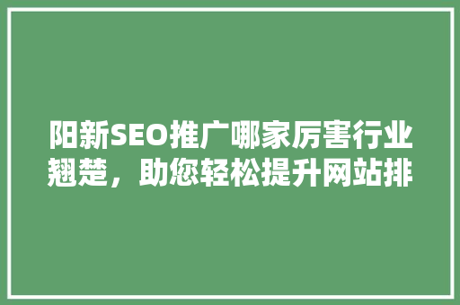 阳新SEO推广哪家厉害行业翘楚，助您轻松提升网站排名