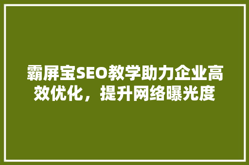 霸屏宝SEO教学助力企业高效优化，提升网络曝光度