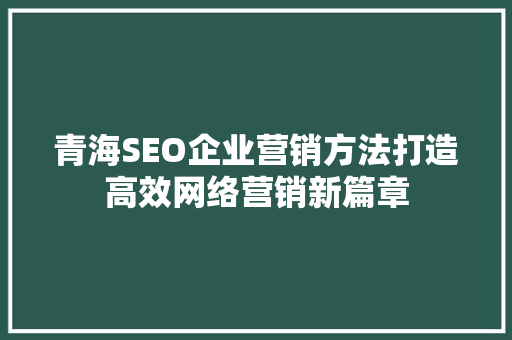 青海SEO企业营销方法打造高效网络营销新篇章 小程序开发