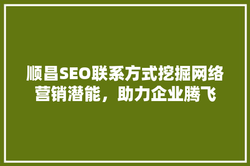 顺昌SEO联系方式挖掘网络营销潜能，助力企业腾飞