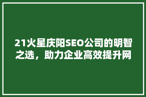 21火星庆阳SEO公司的明智之选，助力企业高效提升网络竞争力
