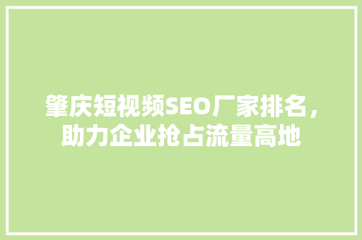肇庆短视频SEO厂家排名，助力企业抢占流量高地