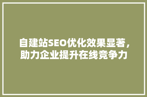 自建站SEO优化效果显著，助力企业提升在线竞争力 360搜优化