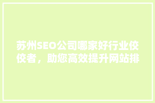 苏州SEO公司哪家好行业佼佼者，助您高效提升网站排名