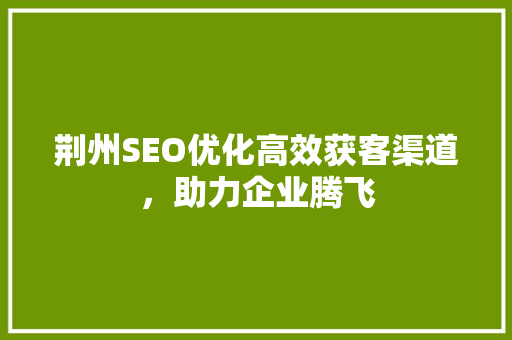 荆州SEO优化高效获客渠道，助力企业腾飞