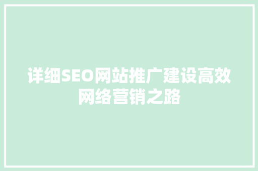 详细SEO网站推广建设高效网络营销之路